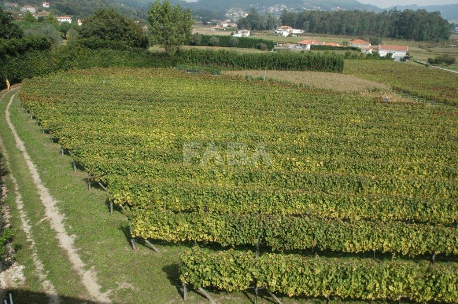 Imagem de Quinta da Seara