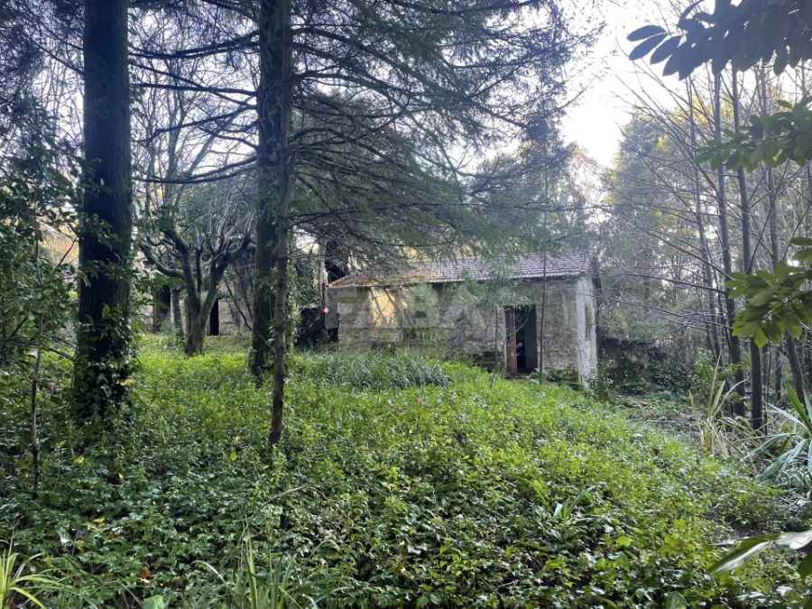 Imagem de Casa da Penha
